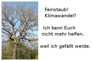 Baum-Feinstaub