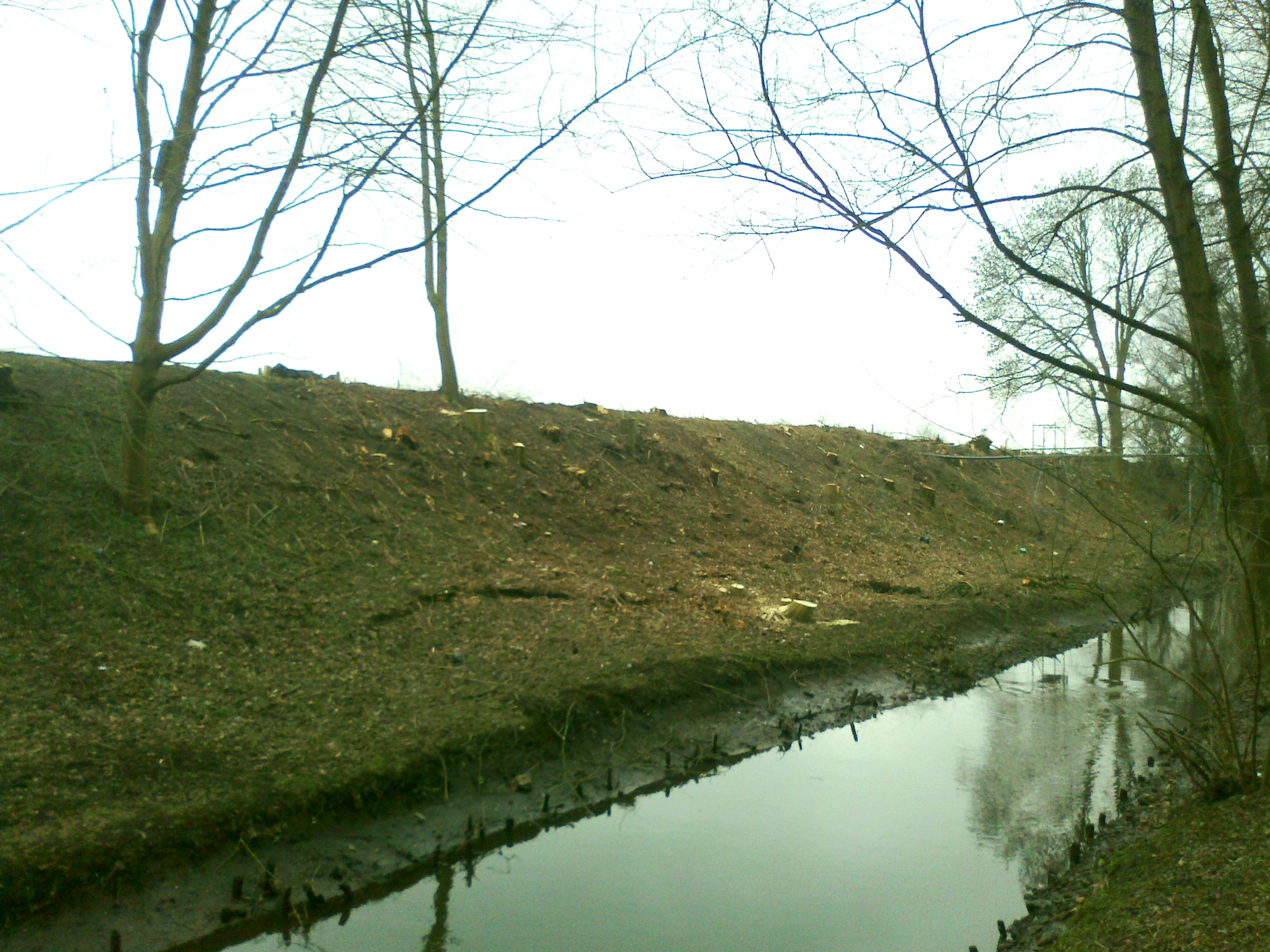 März 2016 Tarpenbek-Ufer kahlgeschlagen